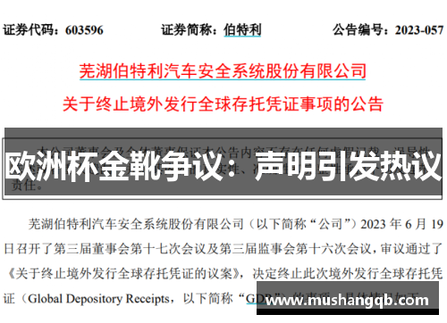 欧洲杯金靴争议：声明引发热议